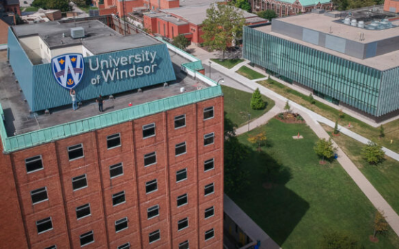 جامعة وندسور