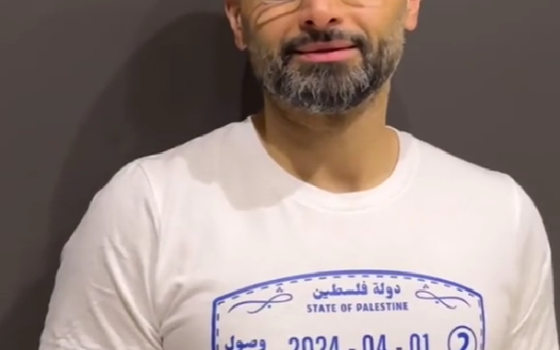 د. محمد الصفي