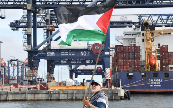 متظاهر داعم لفلسطين