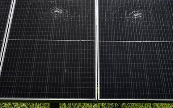 توجيه اتهامات لأردني في أمريكا بعد تهديده شركات لافتراض دعمها للاحتلال