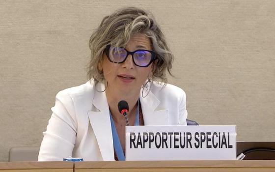 فرانشيسكا ألبانيز - مقررة أممية  