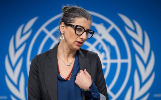 فرانشيسكا ألبانيز - مقررة أممية