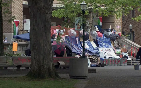 أعمال متضامنة مع فلسطين