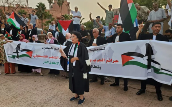 محامون يتظاهرون تأييدًا لفلسطين