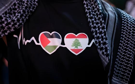 صورة تعبيرية عن التضامن مع فلسطين ولبنان