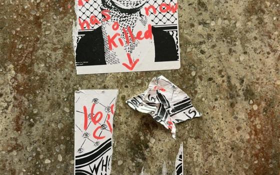 ملصقات مساندة لفلسطين في منتجع ديزني لاند