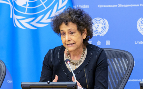 إيرين خان، المقررة الخاصة للأمم المتحدة المعنية بحرية الرأي والتعبير