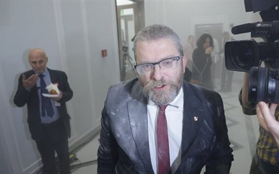 نائب بولندي