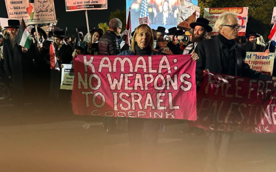 مظاهرة داعمة لفلسطين خارج تجمع هاريس