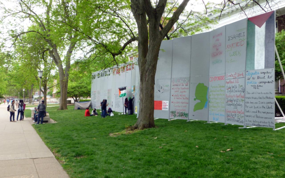 رسومات تضامنية في جامعة تولي