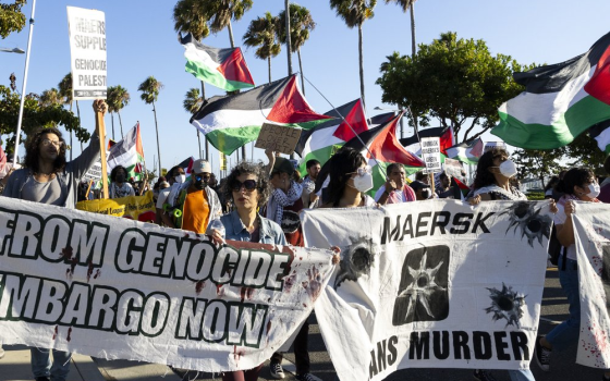 مظاهرة منددة باستقبال سفينة ميرسك