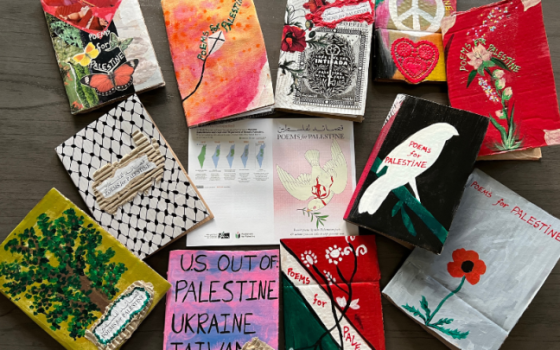 أغلفة كتب ذات محتوى داعم لفلسطين