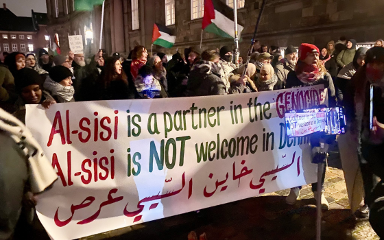 وقفة منددة بزيارة السيسي للدنمارك