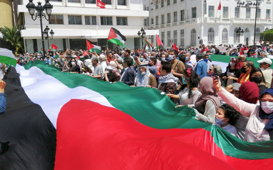 مسيرة حاشدة للتضامن مع فلسطين