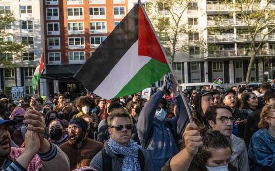 شخص يرفع علم فلسطين بمظاهرة