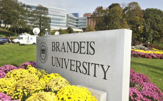 اسم جامعة برانديز