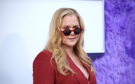 إيمي شومر- ممثلة كوميدية