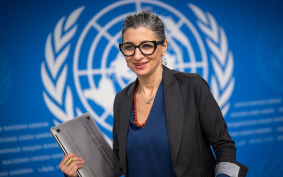 المقررة الأممية فرانشيسكا أليانيز