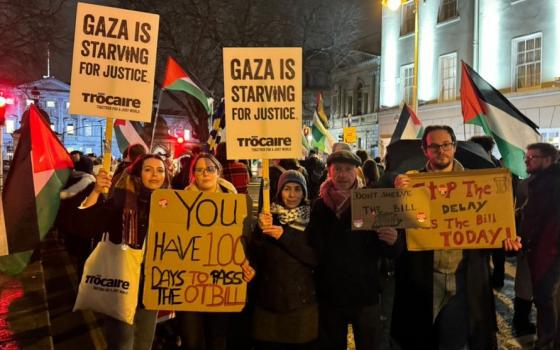 احتجاج أيرلندي أمام مجلس النواب_