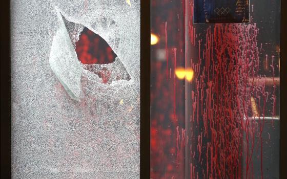 استهداف شركة أليانز لتوفيرها خدمة التأمين على شركة إلبيت التي تعد أكبر مسلحي الاحتلال