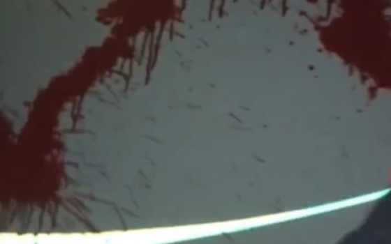 تلطيخ شركة تابعة لإلبيت بالطلاء الأحمر