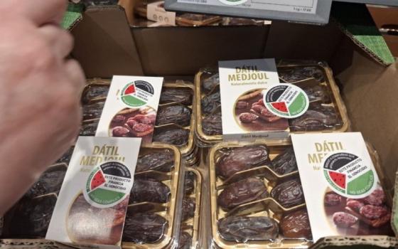 في مدريد.. نشطاء يضعون ملصقات "علم فلسطين" على تمور الاحتلال