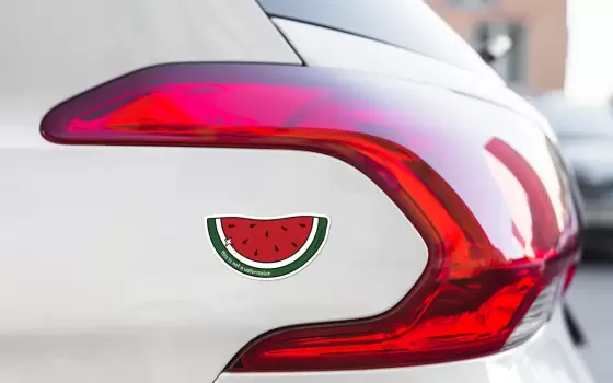 طالبة أمريكية تقاضي مدرستها لاستهدافها مظاهر دعمها لفلسطين