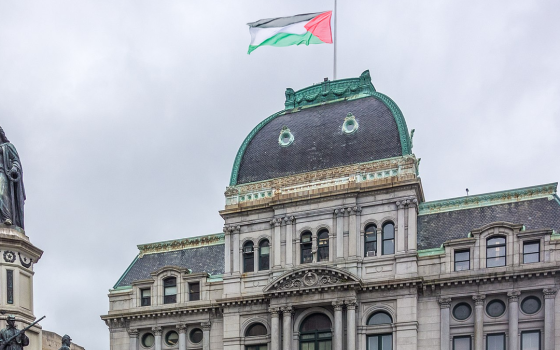 تحديًا للتضييقات.. رفع العلم الفلسطيني بمدينة أمريكية دعمًا لغزة