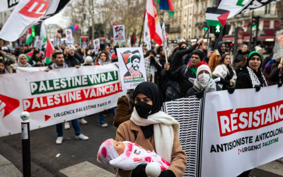 دعوات مستمرة للدعم.. عريضة ضد حل “أورجنس فلسطين” تجمع 180 ألف توقيع