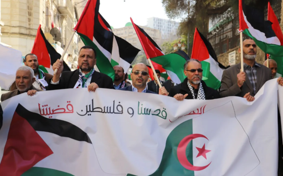 احتجاج جزائري يدعو لمقاطعة “كارفور” و “KFC” دعمًا لفلسطين