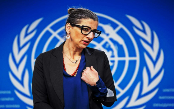 إسرائيل تتظاهر بالترويج للحلول الإنسانية لمواصلة سيطرتها على غزة وارتكاب الفظائع  -فرانشيسكا ألبانيز، مقررة أممية