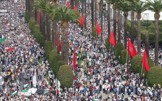 صمتكم يقتلنا.. 100 مظاهرة تضامنًا مع غزة في المغرب