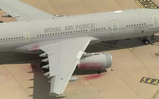 تهم بالتآمر.. المحكمة ترفض الإفراج عن ناشطي حركة فلسطين