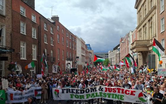 تضامنًا مع غزة.. آلاف المؤيدين لفلسطين يحتشدون في شوارع دبلن