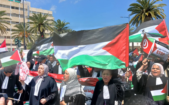 تنديدًا بالإبادة " اتحاد المحامين العرب" يدعو لوقفات أسبوعية في تونس