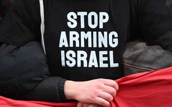 ألمانيا وهولندا تعلنان تتفيذ إجراءات ضد الاحتلال