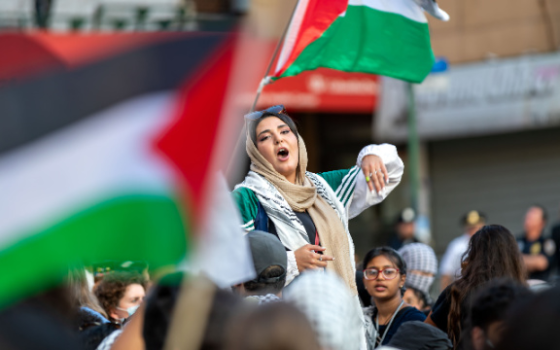 جامعة أديلفي تعاقب "طلاب من أجل العدالة في فلسطين”