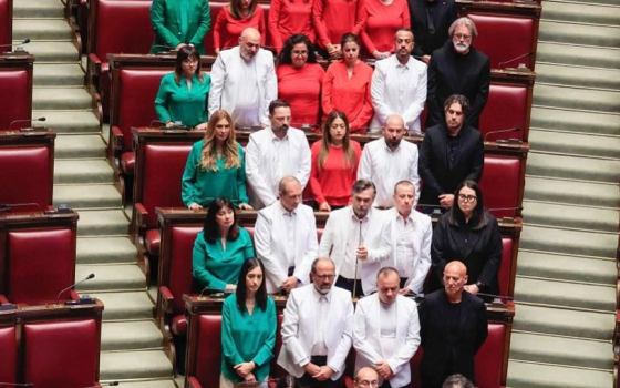 نواب إيطاليون يرتدون ألوان العلم الفلسطيني