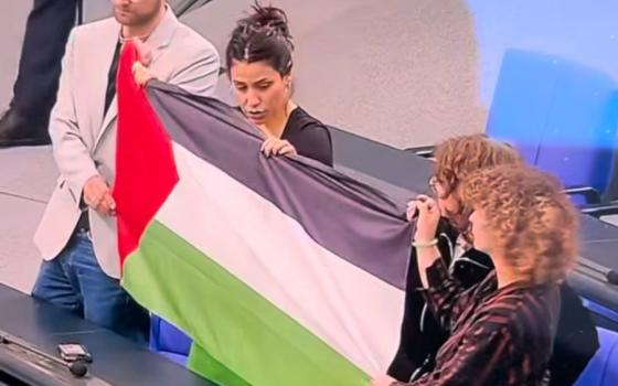 نواب ألمان يرفعون علم فلسطين خلال جلسة برلمانية
