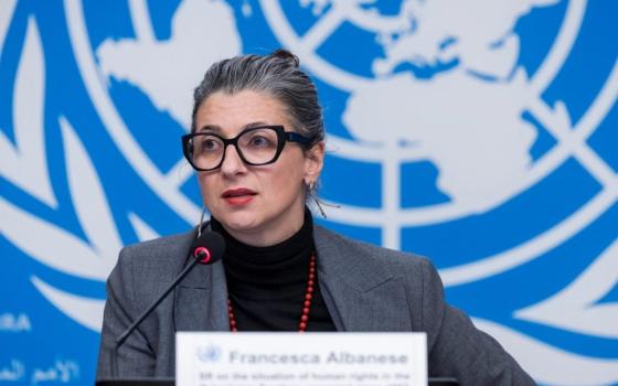 فرانشيسكا ألبانيز..اسرائيل لا توقف تصدير الاسلحة