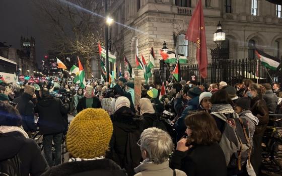 أحتجاج خارج "داونينج ستريت" تضامنًا مع مضربي الطعام من "فيلتون24"