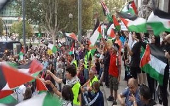 سابقة قانونية .. إسبانيا تحقق مع شركة “سيدنور” لتواطؤها بجرائم الإبادة