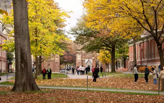 استطلاع طلابي في "هارفارد" ..يكشف تأييدًا واسعًا لسحب الاستثمارات مع "إسرائيل"