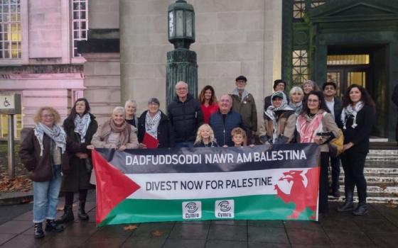 المقاطعة تتصاعد ..سوانزي وكايرفيلي يصوتان لسحب الاستثمارات من شركات تدعم الاحتلال