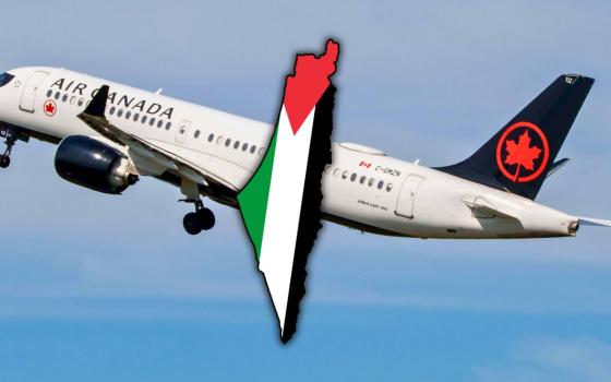 دبوس خارطة فلسطين.. الخطوط الجوية الكندية تحقق مع مضيفة طيران تضامنت مع فلسطين