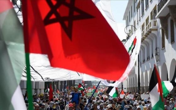الشعب يريد تحرير فلسطين .. وقفة تضامنية في المغرب نصرًة لغزة