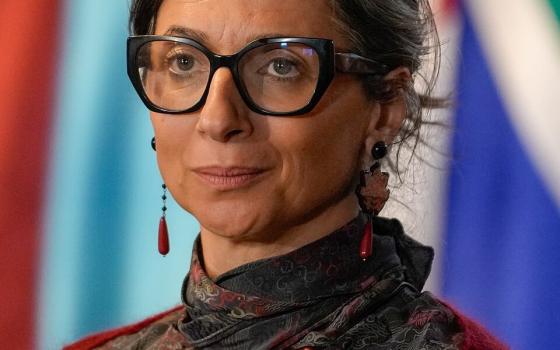 فرانشيسكا ألبانيز: لن أتوقف عن التنديد بفظائع الاحتلال في فلسطين