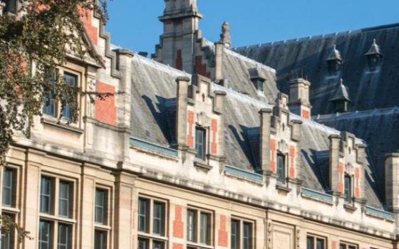 حركة التضامن