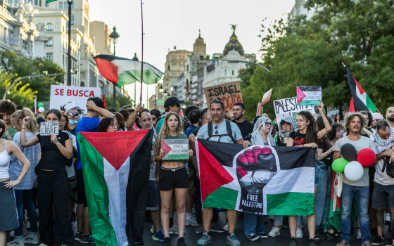 لا لبطاطس الدم.. احتجاج أمام وزارة الزراعة بجزر الكناري ضد استيراد البطاطا "الإسرائيلية"