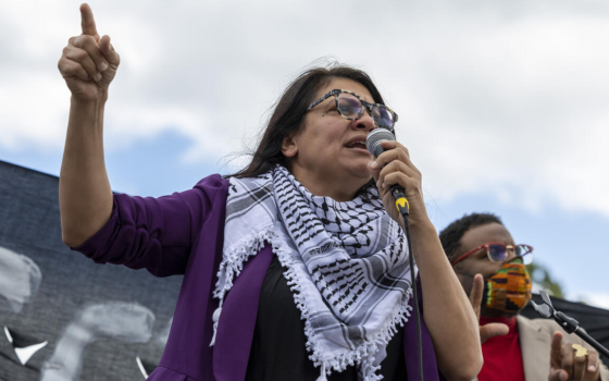 رشيدة طليب: على واشنطن معاقبة إسرائيل ووقف تسليحها  